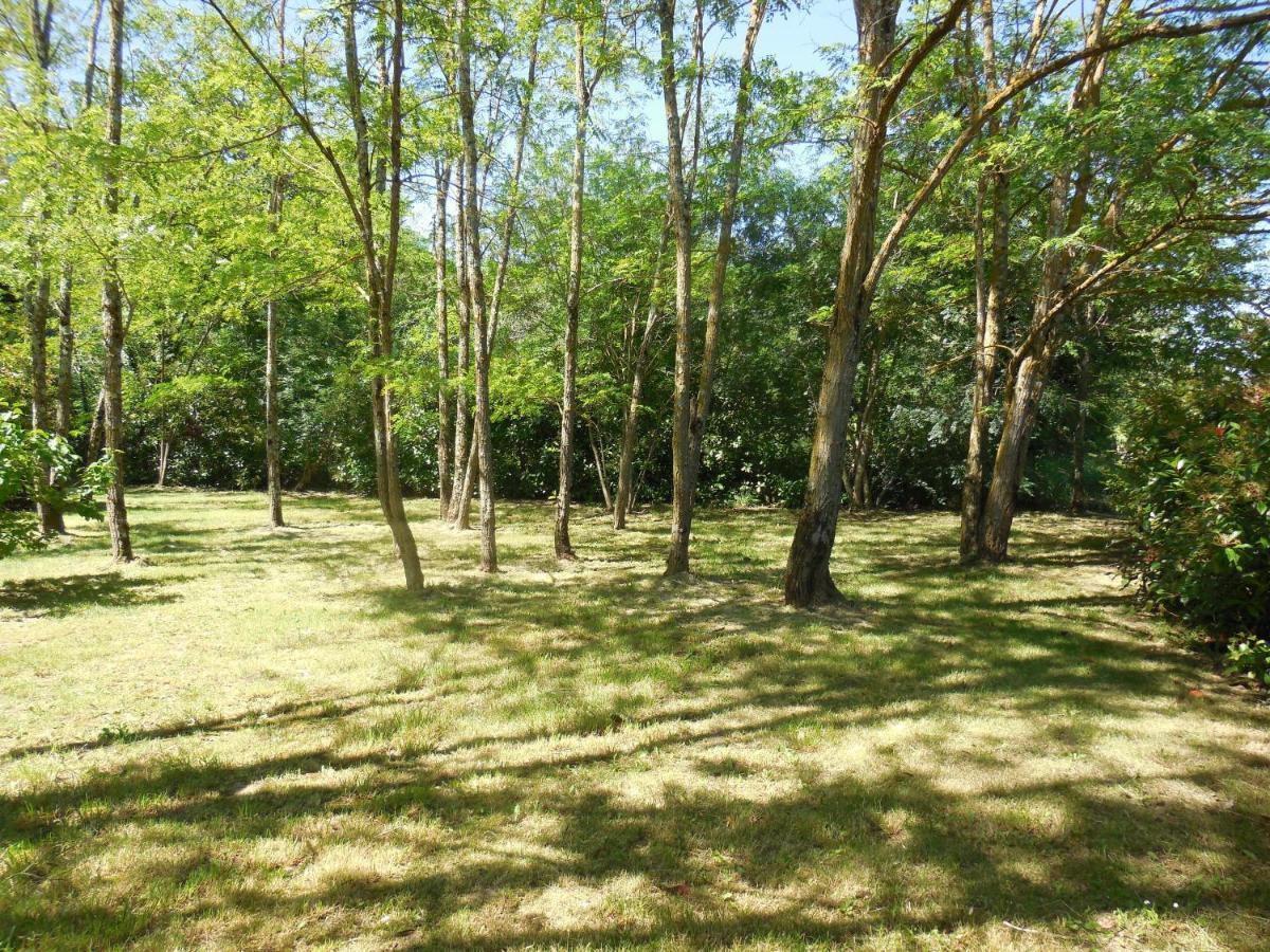Le Chalet Bois De Celio Coux Kültér fotó